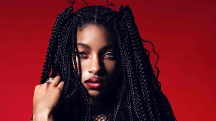 Willow Smith Stuns for V Magazine Cover Story