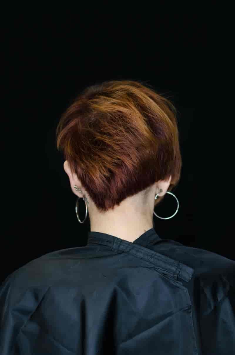 Pixie Bob Auburn Hair Color