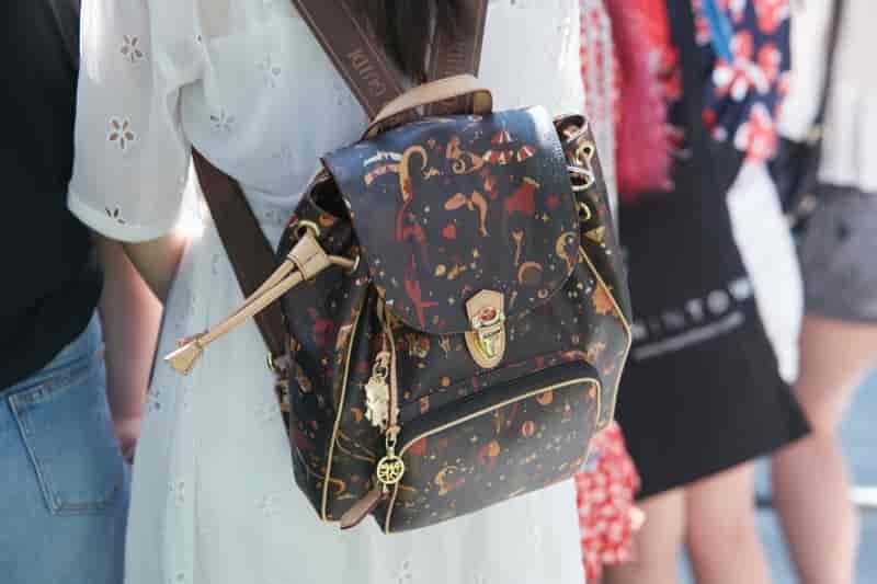 Fashion Types Backpacks