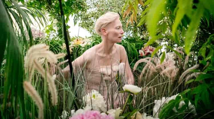 Pirelli Calendar 2026 Cast: Irina Shayk, Tilda Swinton & More